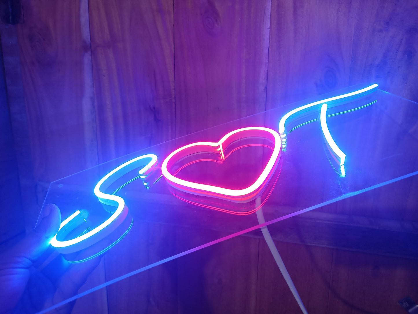 3 letter Single layer Neon Sign by BdBitan